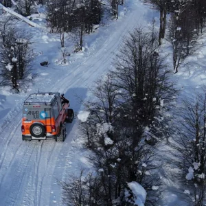 Experiencia Antártica